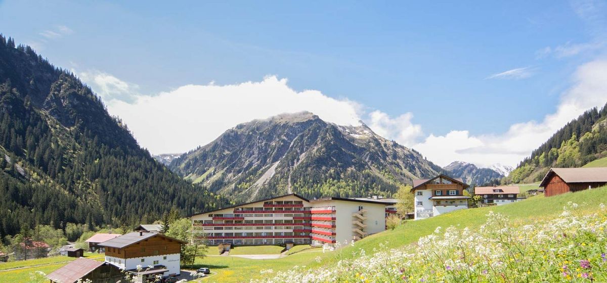 Sommer und blühende Wiesen in Mittelberg im Kleinwalsertal